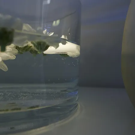 Hotei 4* カターニア