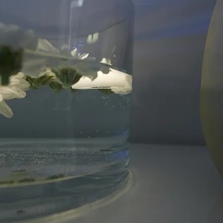 ベッド・アンド・ブレックファスト Hotei