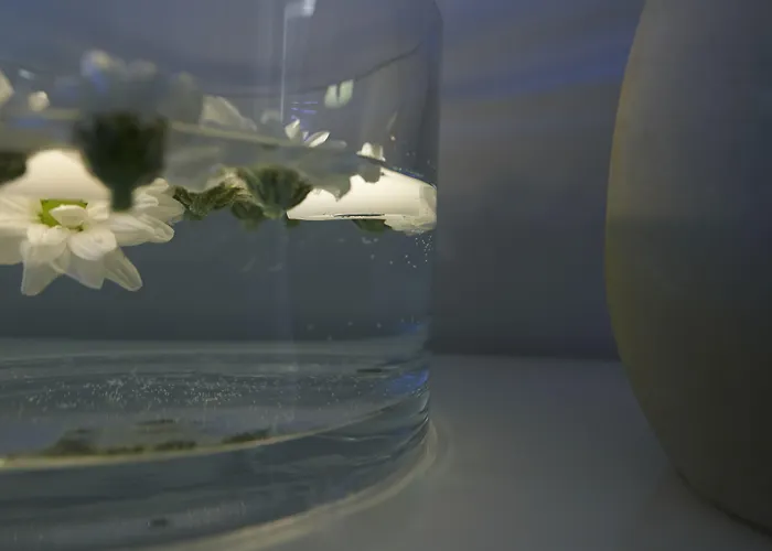 Hotei 4* Κατάνια